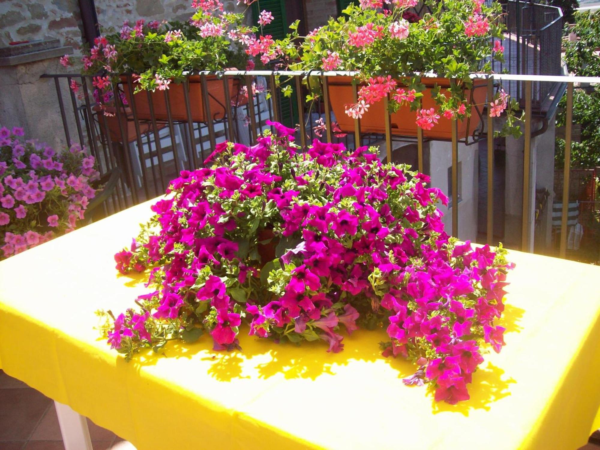 La Terrazza Fio...Rita Bed & Breakfast Ripa Luaran gambar